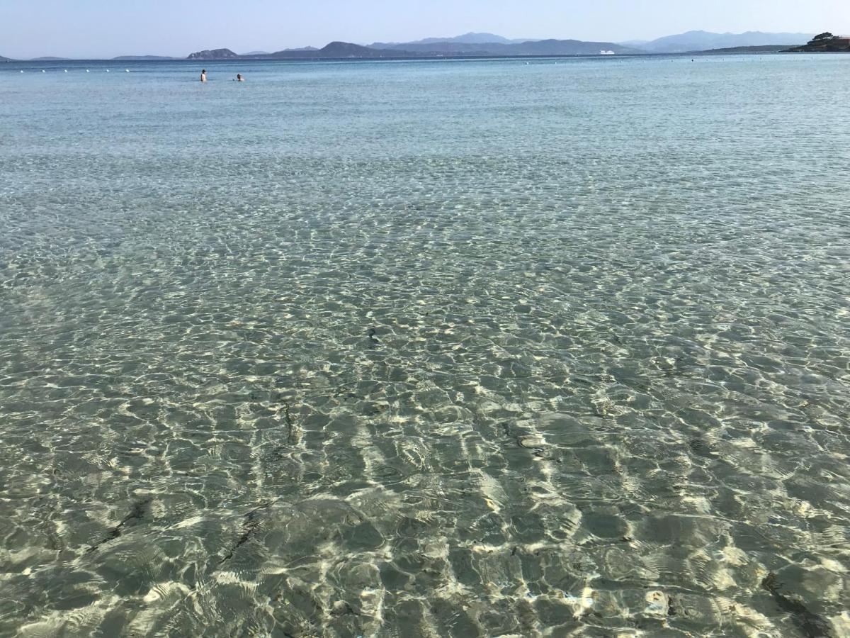Gli Oleandri Olbia